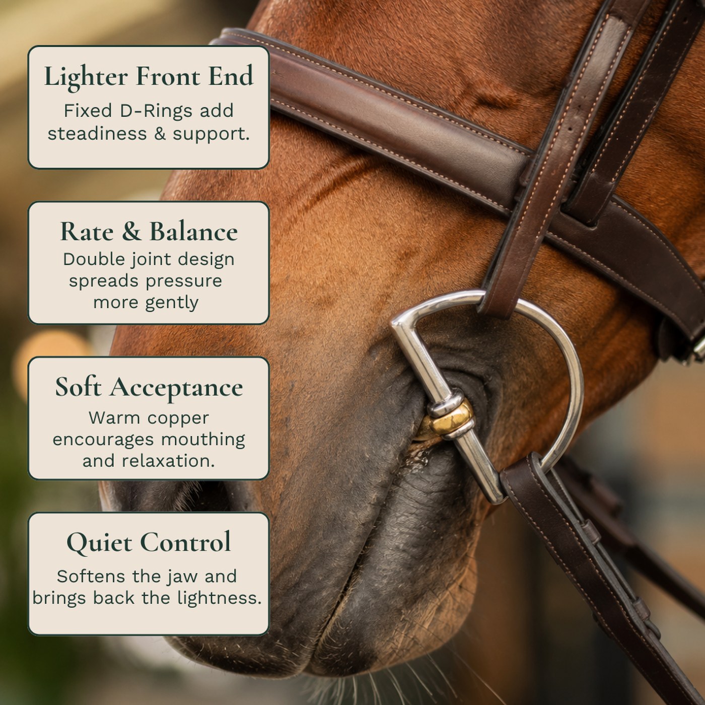 The Peter Pletcher Bit fitted on the horse — lighter front end, rate & balance, soft acceptance and quiet control